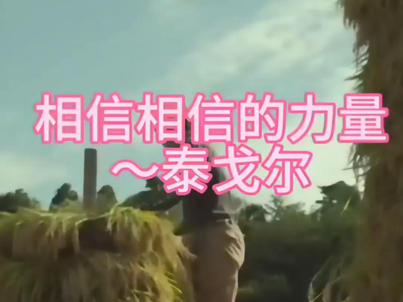 塞尔塔维戈：精益求精，全力以赴追求胜利的简单介绍
