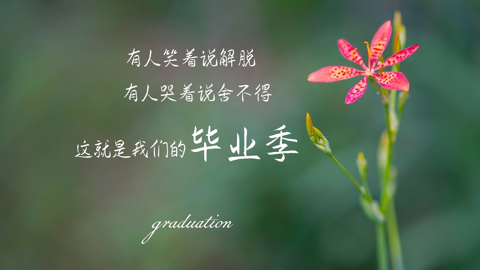 东方魔法与蓝色铁壁的对话,久保建英如何刺穿美国队的防线