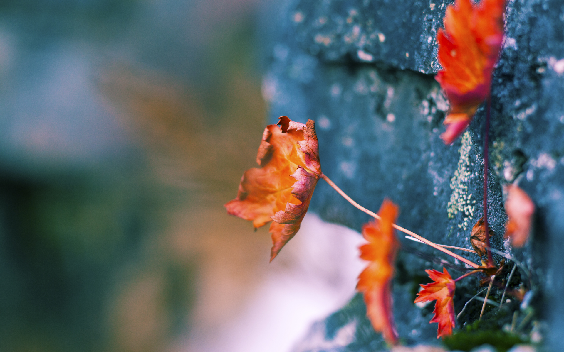 压哨绝杀!热火险胜灰熊,英格拉姆加冕关键先生