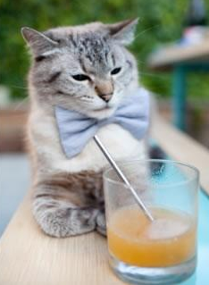 暗夜燃火，拉什福德欧冠半决赛的压制级交响