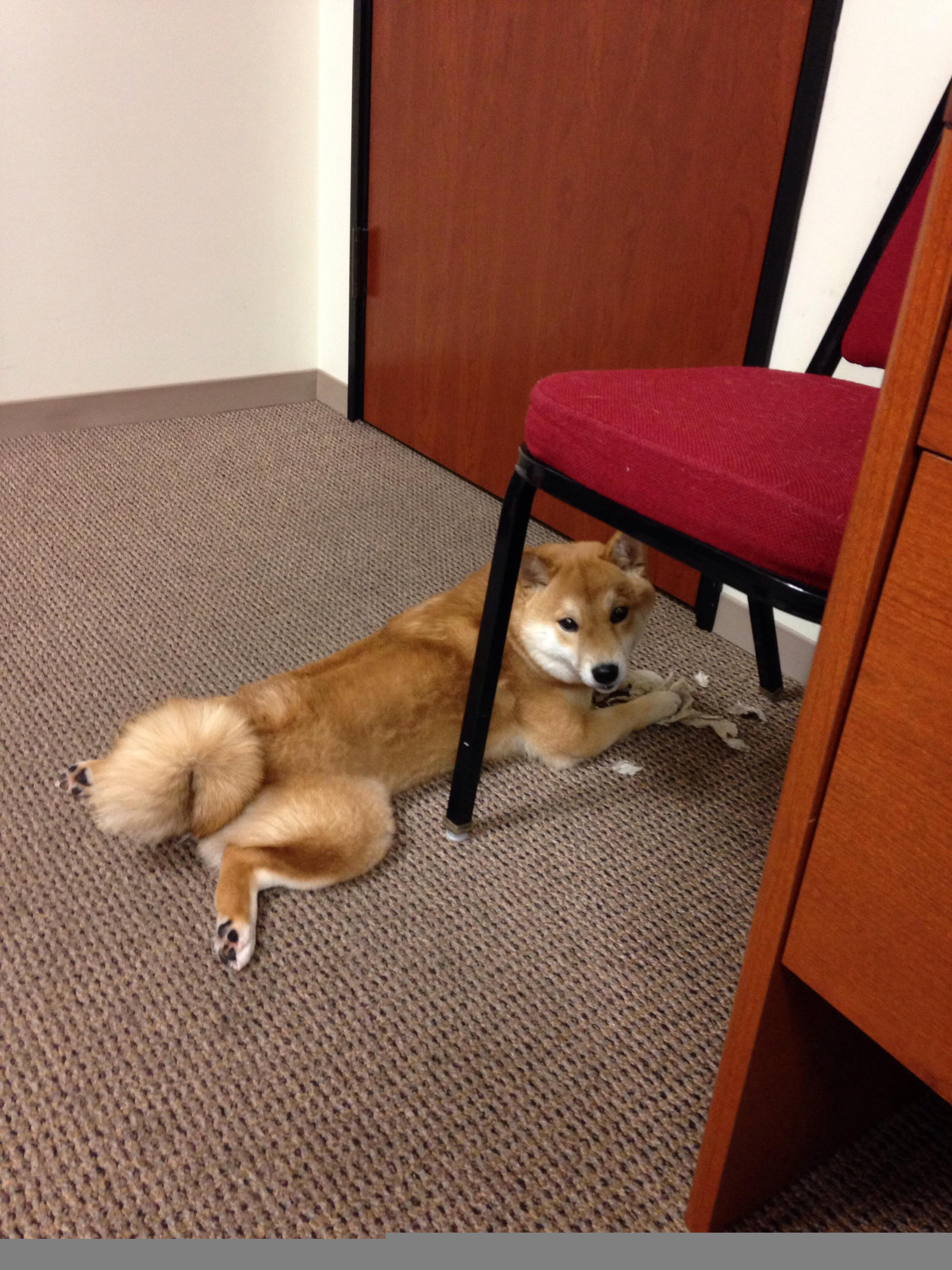 奥运周期关键焦点战，马德里竞技强行终结喀麦隆国奥队