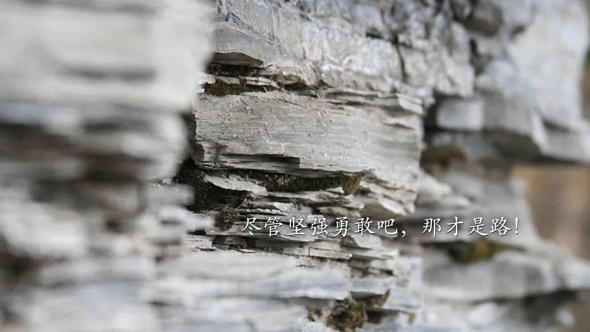 鏖战巅峰，小贾伦世界排名战接管马刺凯尔特人焦点对决