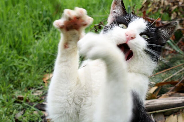 拉梅洛智造七秒风暴，吉林炮火淹没快船铁壁