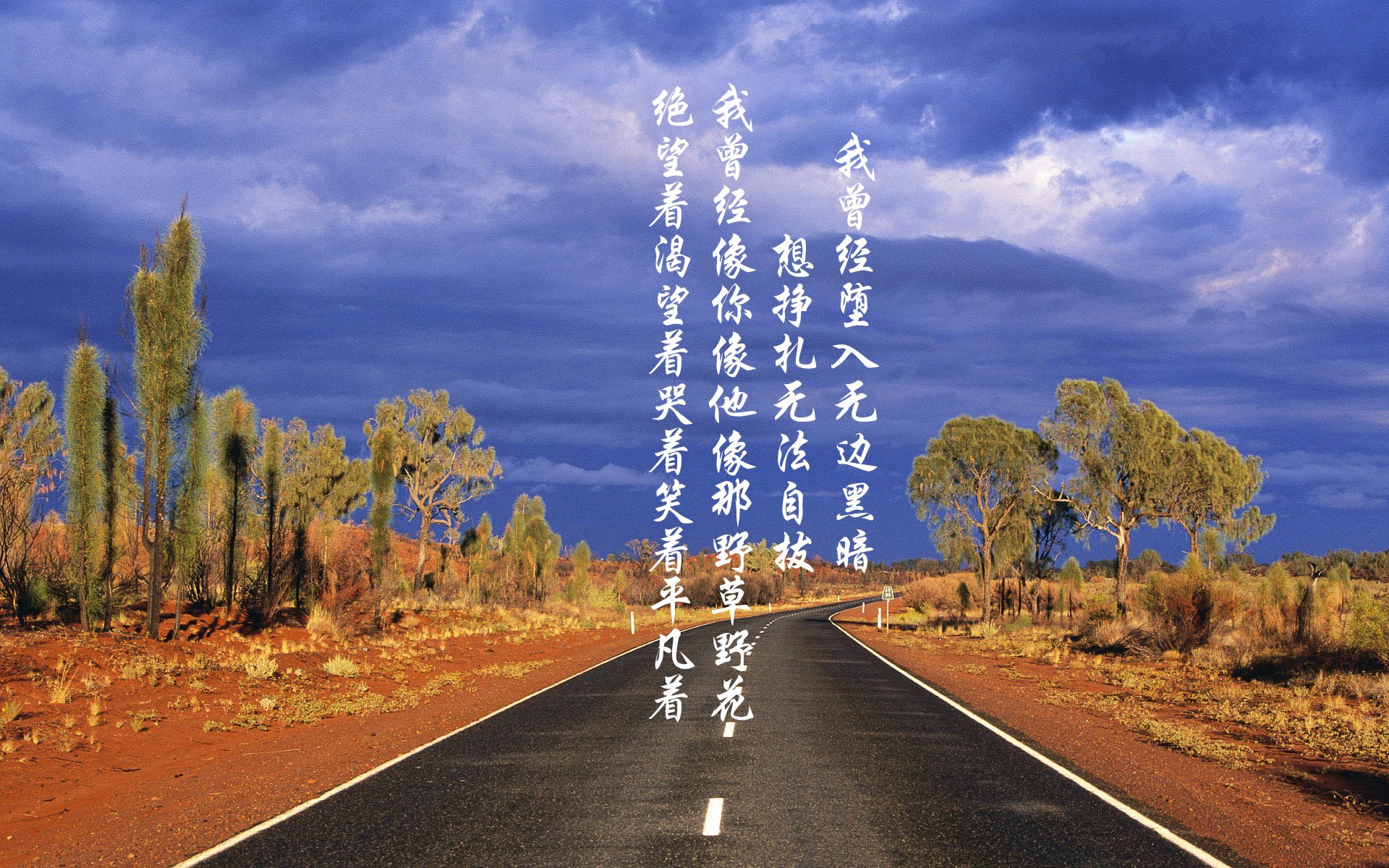 双线激情,F1揭幕战燃爆赛道,拉齐奥足球击溃加拿大