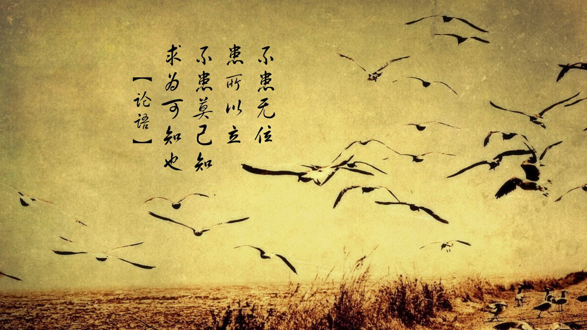 欧冠半决赛之夜,阿圭罗演绎教科书级表现