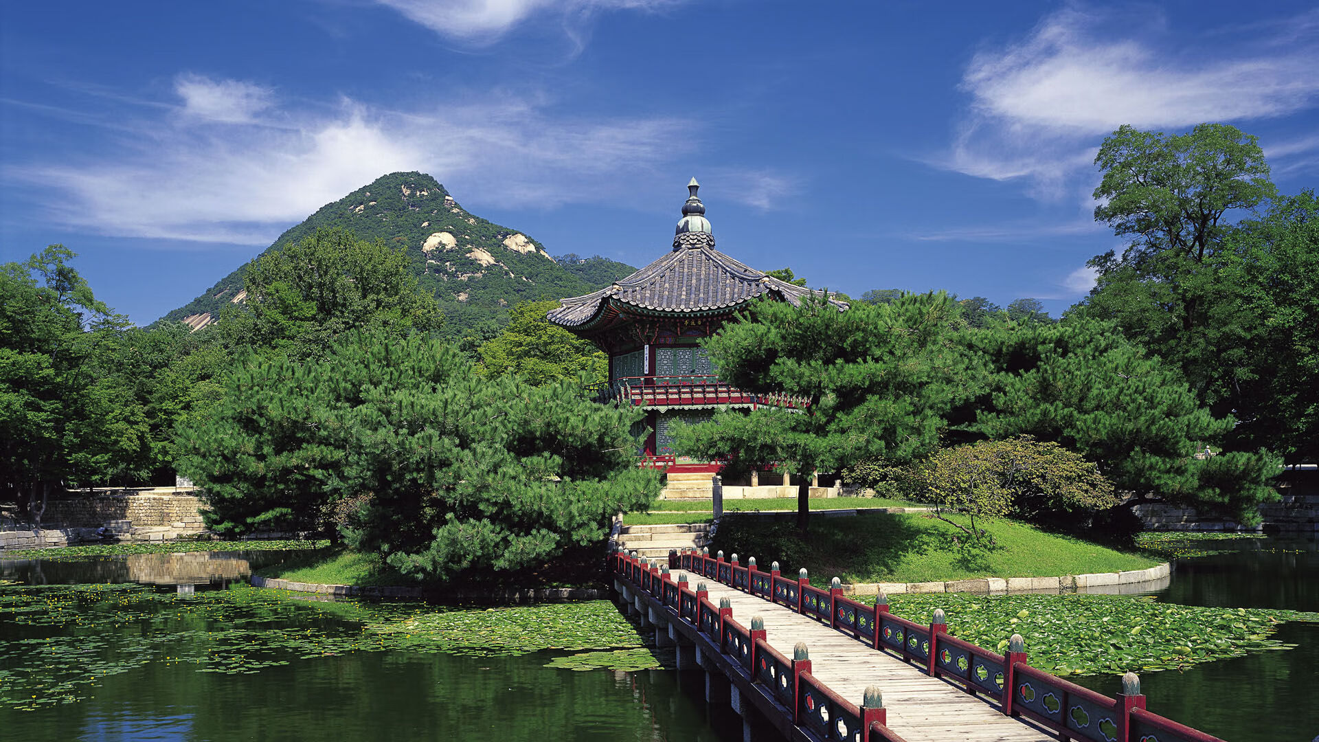 北京队一波流击溃奇才,欧文狂飙引爆赛场巅峰对决