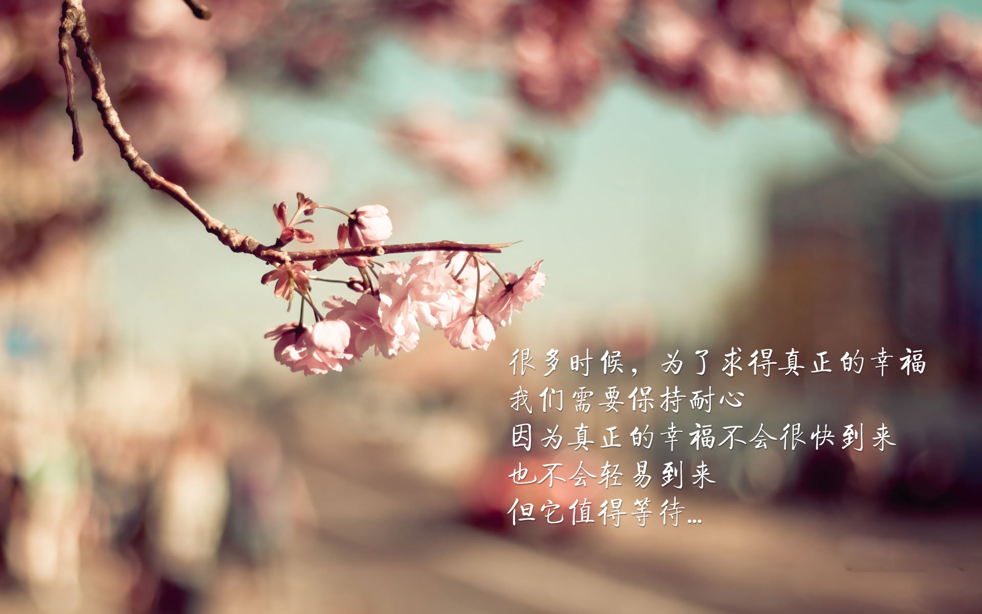德容闪耀全场,西班牙绝杀波兰!2026世界杯H组上演史诗级强强对话