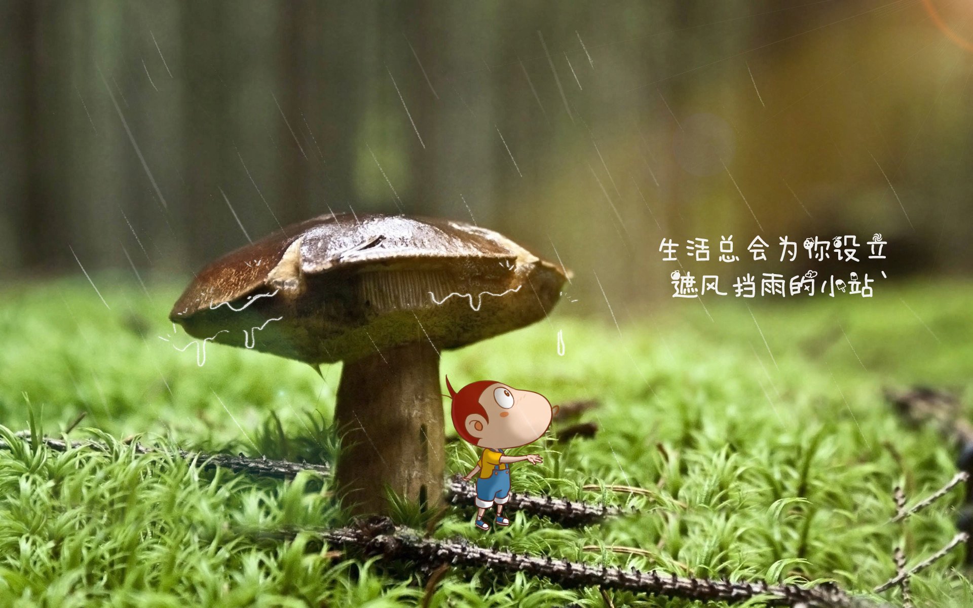 黄沙中的冷门,2026世界杯F组,伊拉克完胜乌拉圭,三笘薰完成致命一击