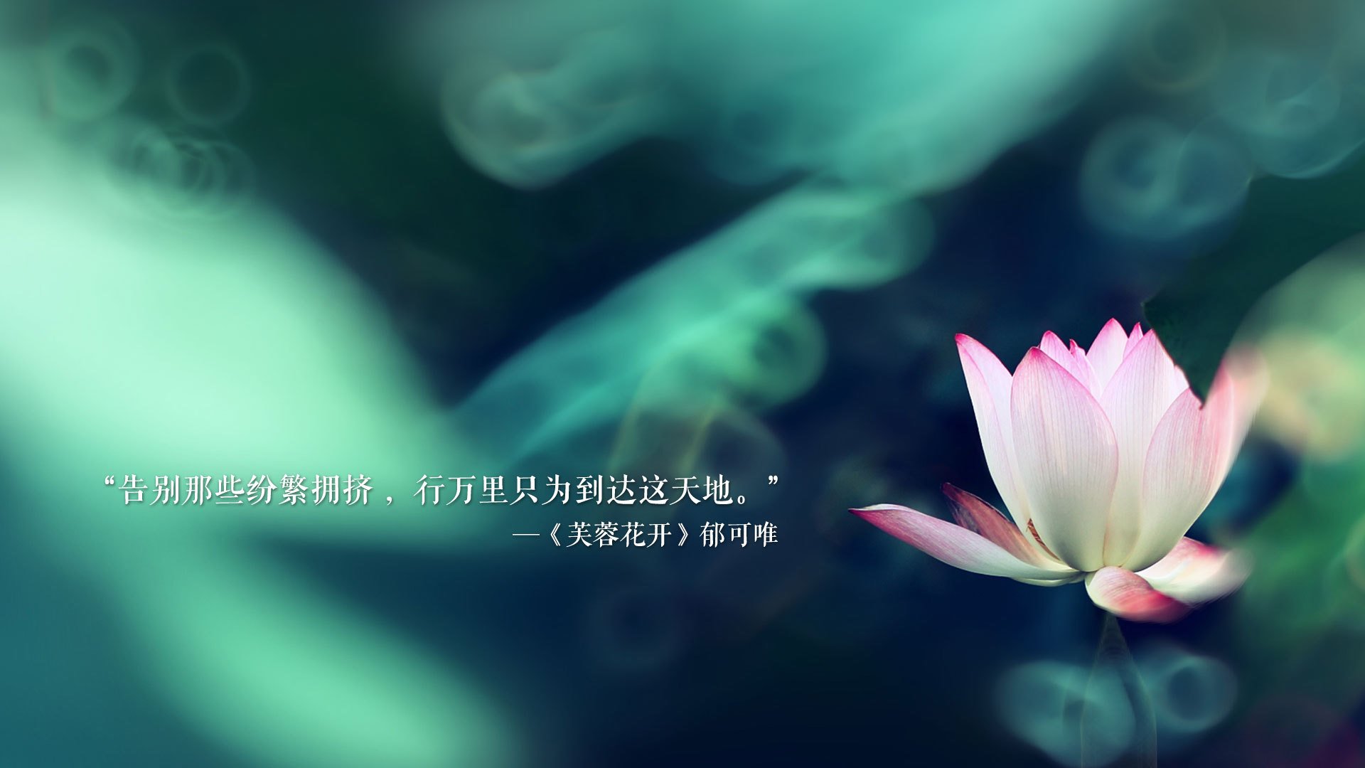魔笛余音震波斯,克罗地亚闪电战击溃伊朗,哈兰德独造三球闪耀C组